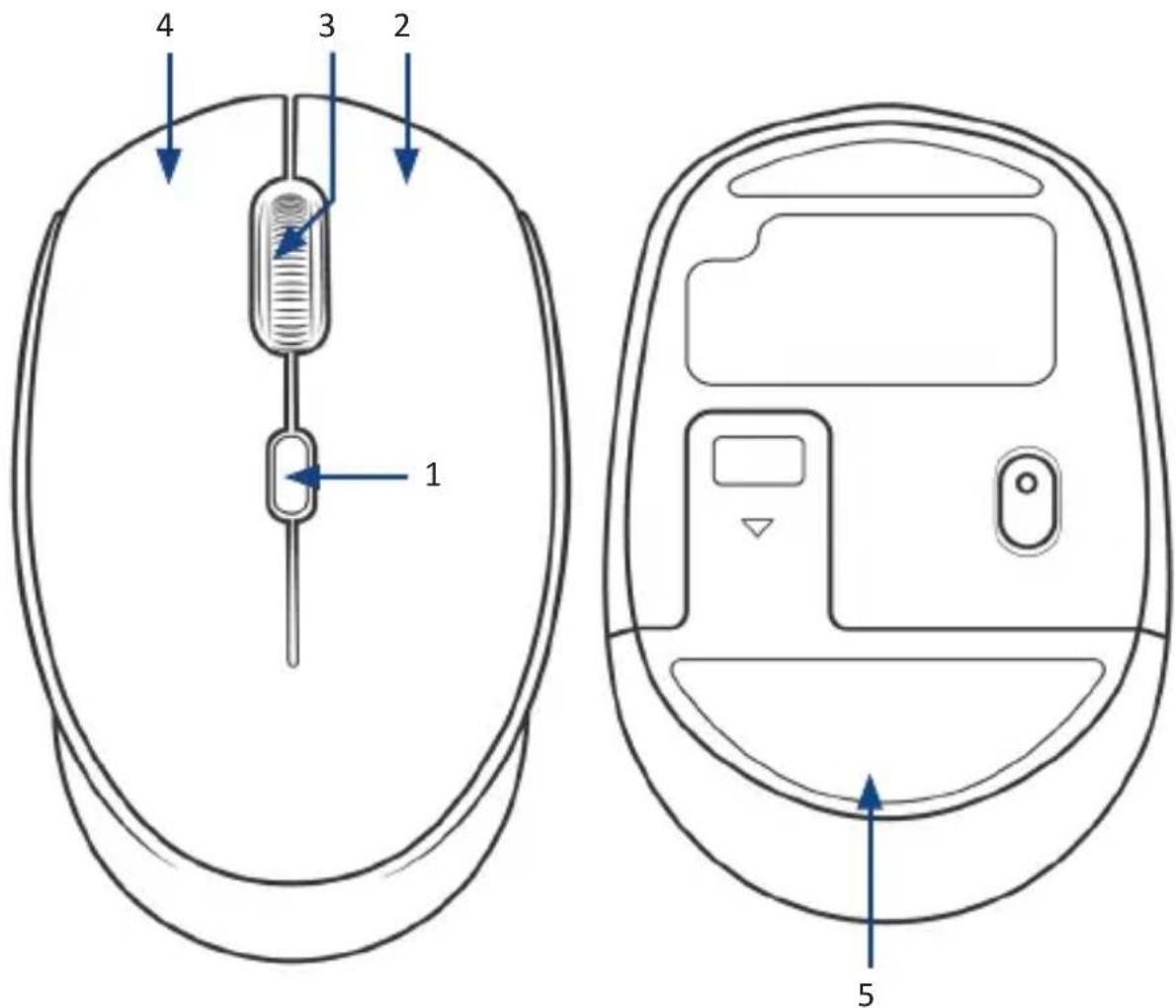 CSL 303155 - Produkt-Details - 1