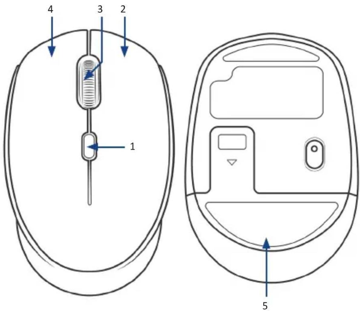 CSL 303155 - Detalles del producto - 1