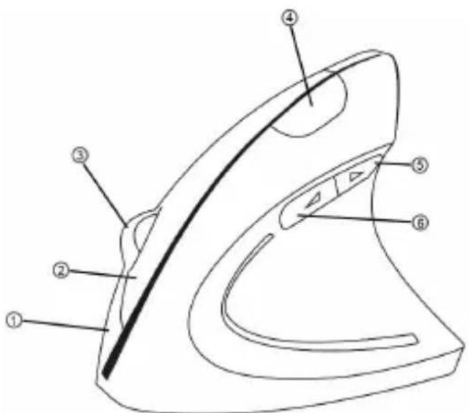 CSL 300569 - Produkt-Details - 1
