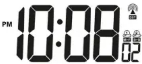 Bearware 302670 - Display - 1