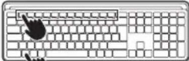NGS MUSK - BT1 / BT2 - 4