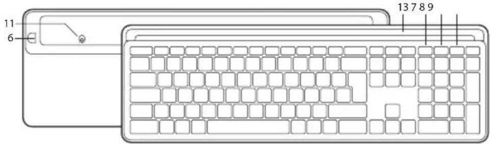 NGS MUSK - NADZORNI GUMBI - 4