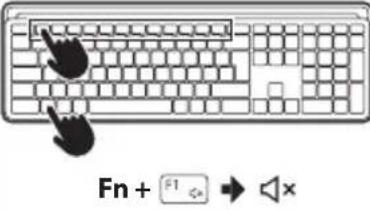 NGS MUSK - BT1 / BT2 - 10