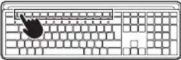 NGS MUSK - BT1 / BT2 - 7