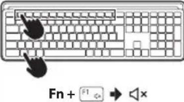NGS MUSK - BT1 / BT2 - 8