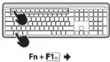 NGS MUSK - BT1 / BT2 - 2