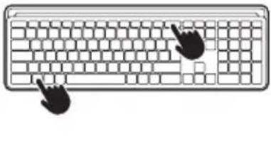 NGS MUSK - BT1 / BT2 - 8