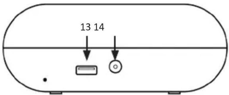 Bearware 305676 - Detalles del producto - 3