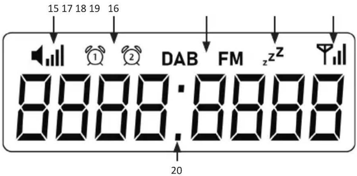 Bearware 305676 - Display - 1