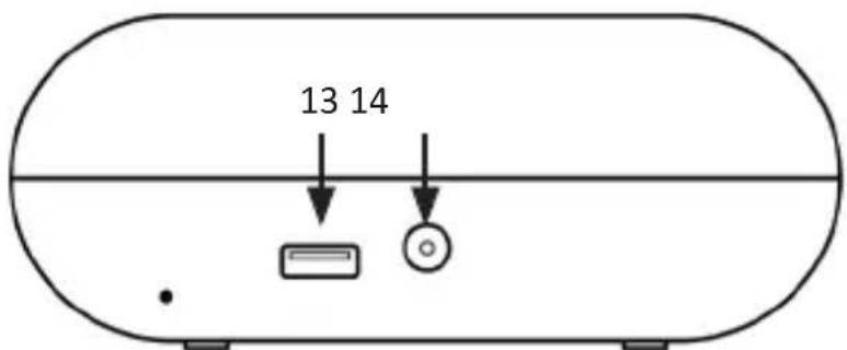 Bearware 305676 - Product details - 3