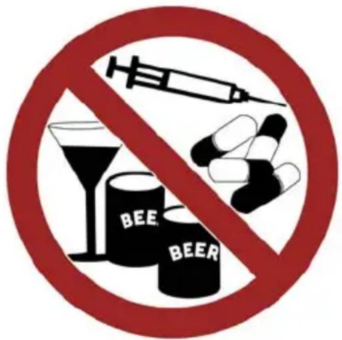 BEE BEER
