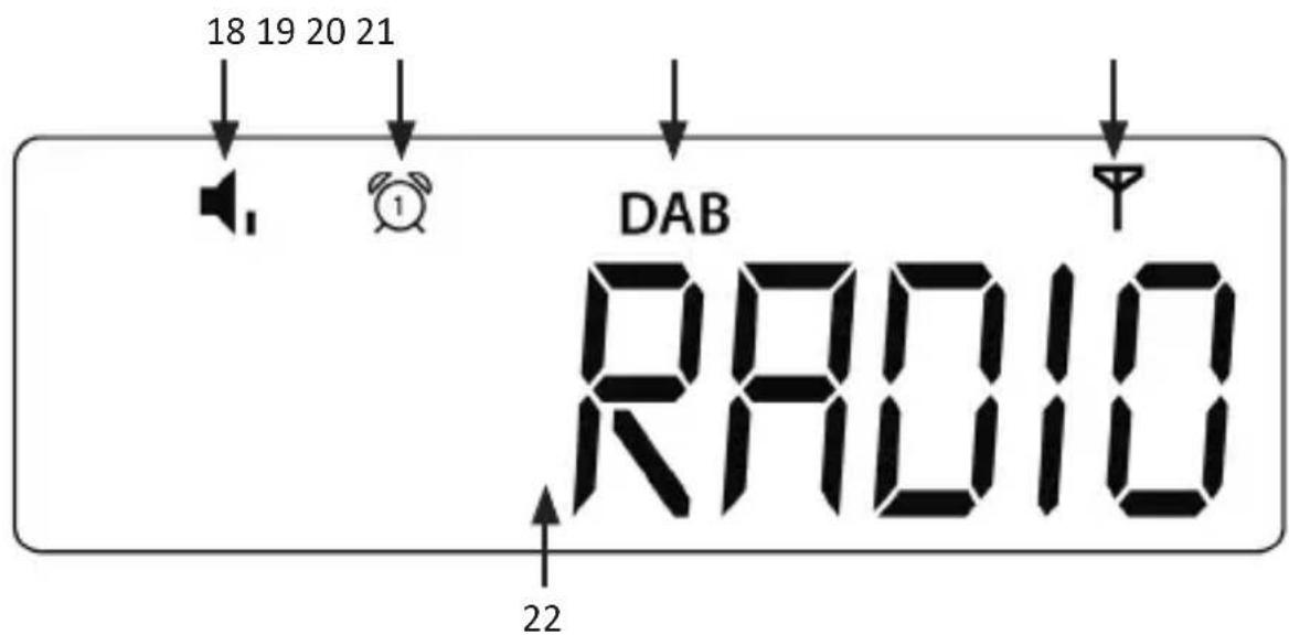 Bearware 305677 - Display - 1