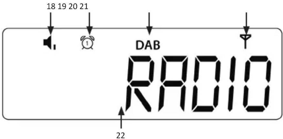 Bearware 305677 - Display - 1