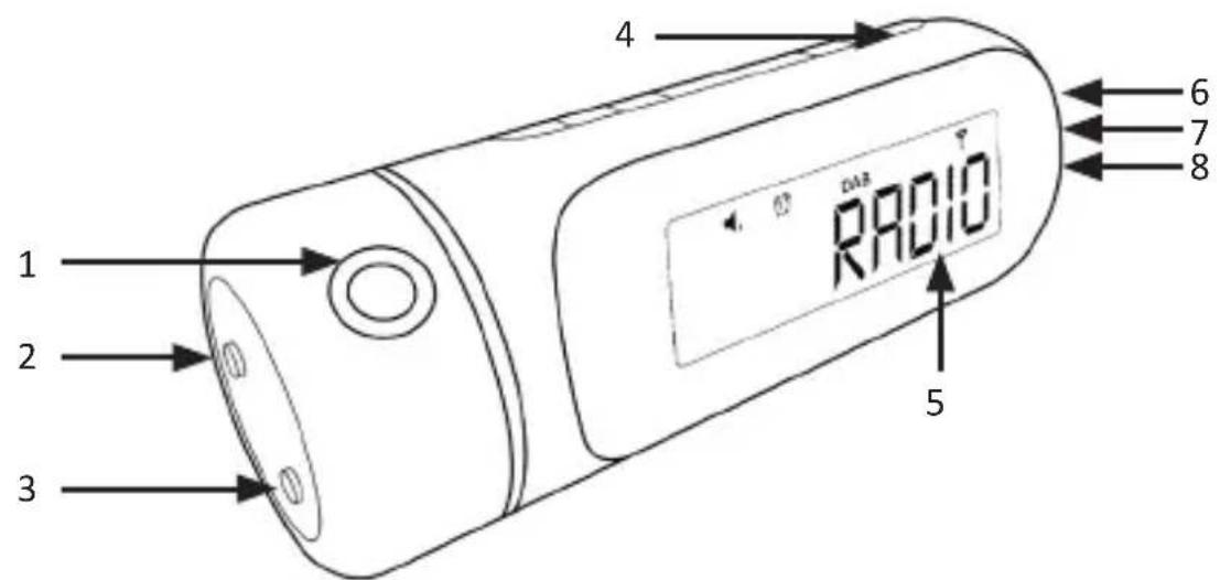 Bearware 305677 - Product details - 1