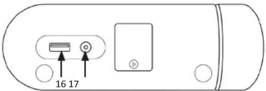 Bearware 305677 - Product details - 3
