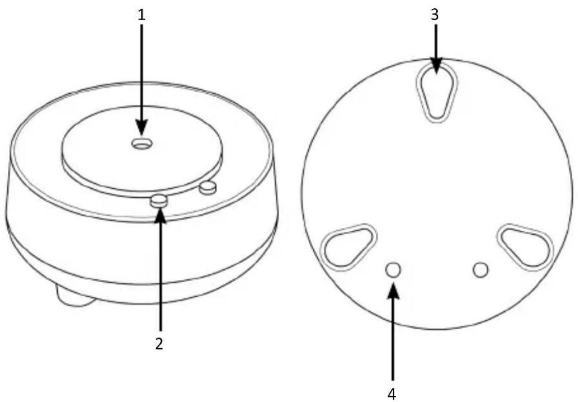 Bearware 306607 - Product details - 1