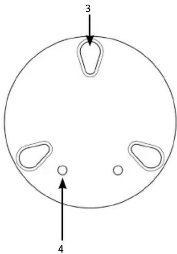 Bearware 306607 - Dettagli del prodotto - 2