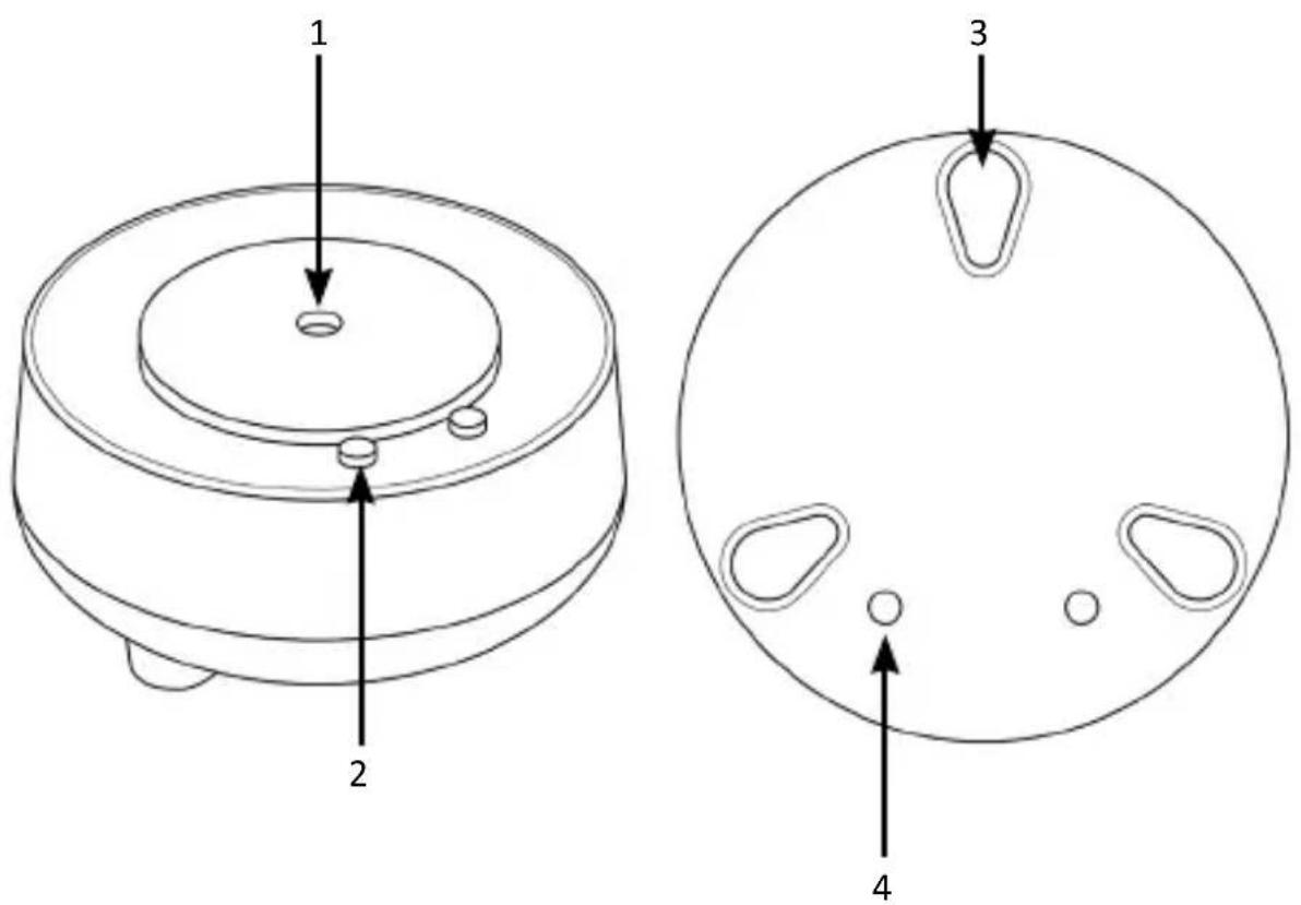 Bearware 306607 - Produkt-Details - 1