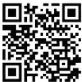 Brandson 305695 - 1