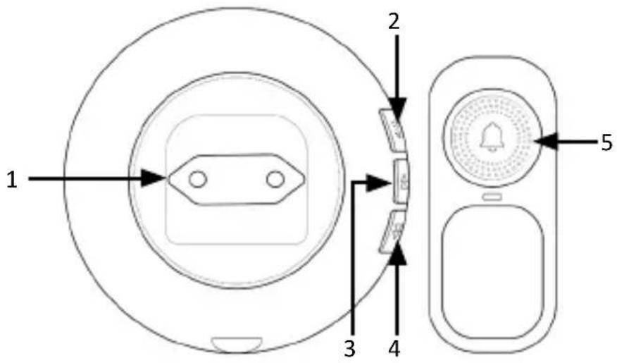 Bearware 306609 - Product details - 1