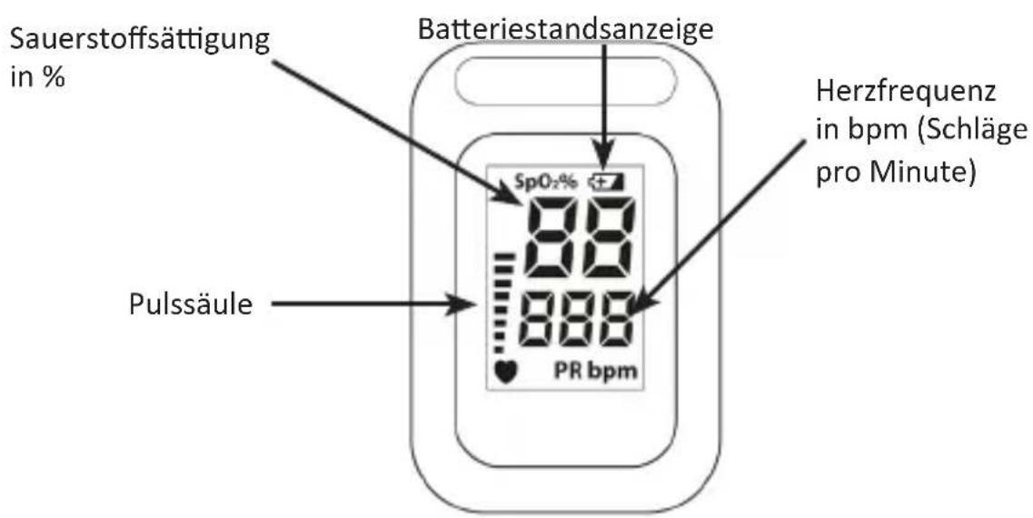 Medicinalis 305020 - Display - 1
