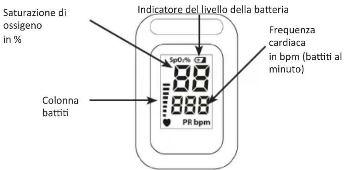 Medicinalis 305020 - Display - 1