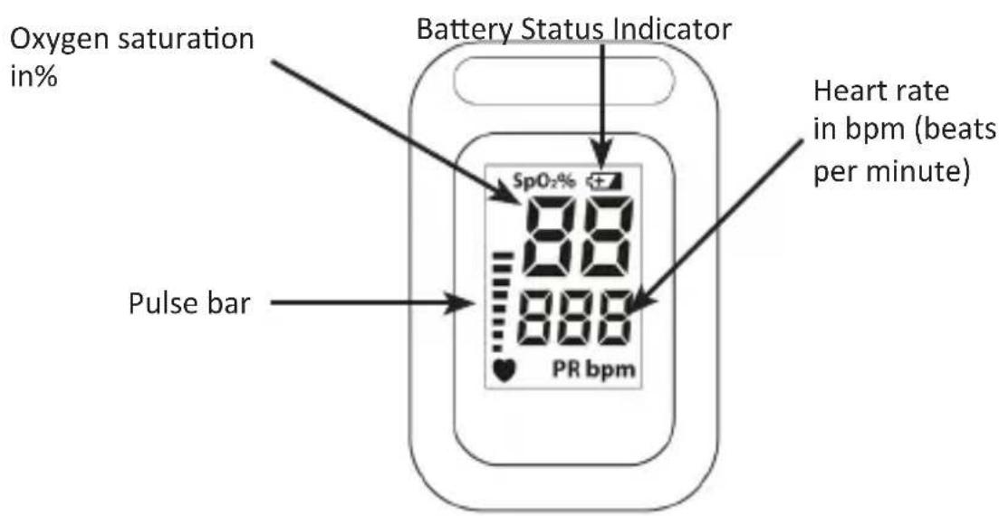 Medicinalis 305020 - Display - 1