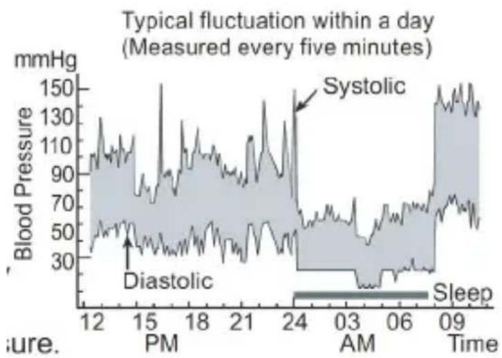 Medicinalis 303936 - Fluctuaciones de la presión sanguínea - 1