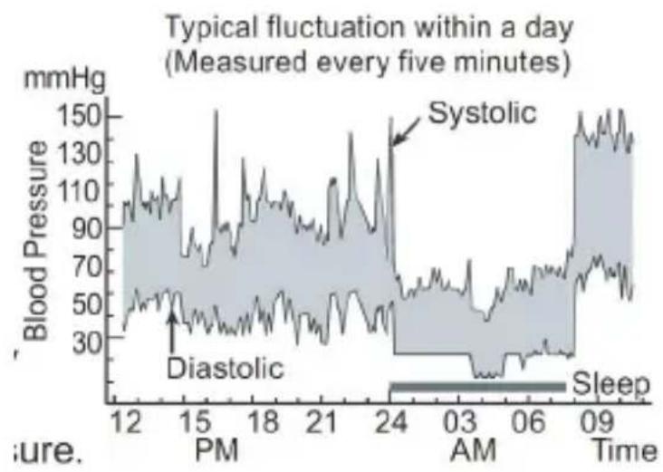 Medicinalis 303936 - Blood pressure variations - 1