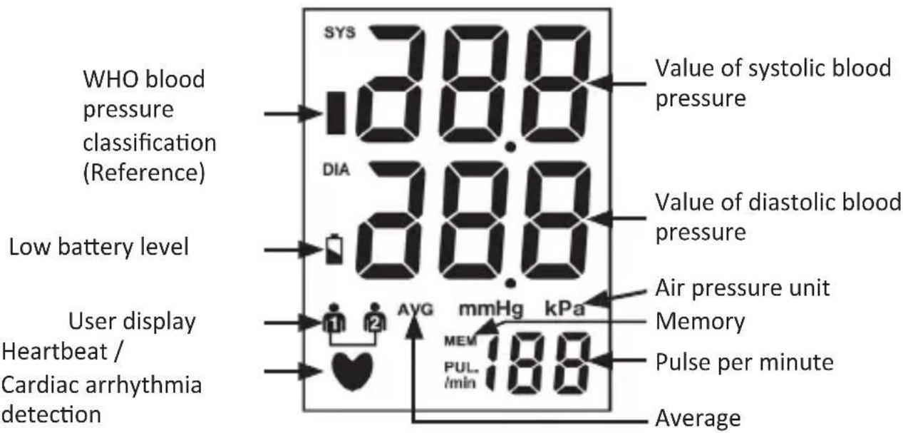Medicinalis 303936 - Display - 1