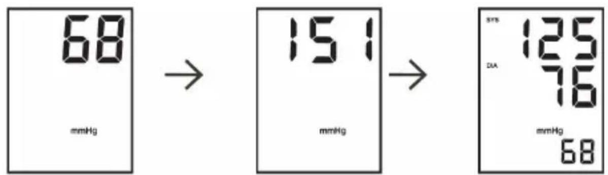 Medicinalis 303936 - Measuring the blood pressure - 2