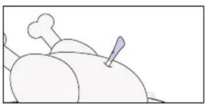 HAIER H6 ID25G3HTB1 - How to enroll and use Preci Probe: - 1