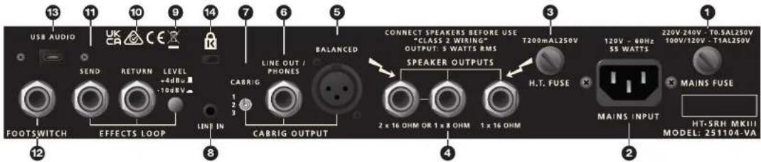 BLACKSTAR HT-20RH MK III - Emulated Output Cabinet Switch 仿真输出箱体开关 - 3