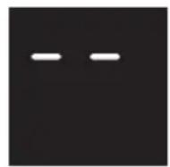 DELONGHI Pinguino PACEX390LN-6ALBK - TURNING THE APPLIANCE ON AND OFF - 1