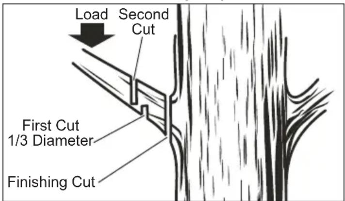 MILWAUKEE M18 FUEL 2826-22 - Pruning - 1
