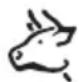 IKEA FÄRSKHET 304.621.55 - Programación de congelamiento - 7