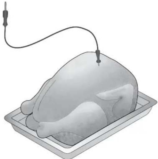 IKEA HJÄLTEBY - Utiliser la sonde thermique pour la dinde - 1