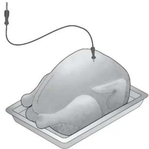 IKEA HJÄLTEBY - Using the Food Probe for Turkey - 1