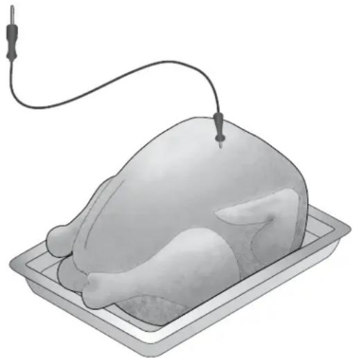 IKEA HJÄLTEBY 805.405.42 - Using the Food Probe for Turkey - 1