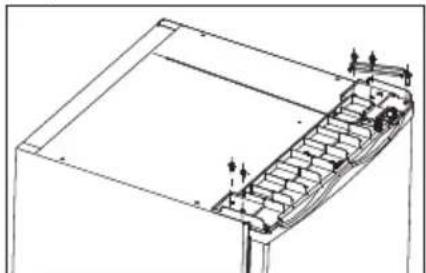 HISENSE RL170D4AWE - Reverse the door - 2