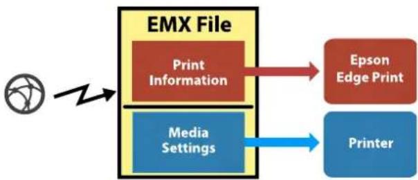 EPSON SureColor SC-F11000H - Opérations de base - 1