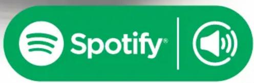 Ferguson i400s - CD | FM | DAB+ Internet | BT | USB - 1