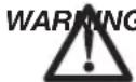 DEWALT DCN694 - ENGLISH - 2