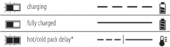 DEWALT DCV100 - Charging Process - 2