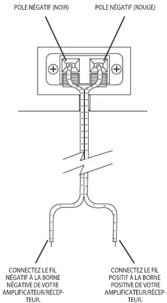 Pyle PLMR24 - Connexion des enceintes à votre amplificateur ou récepteur - 1