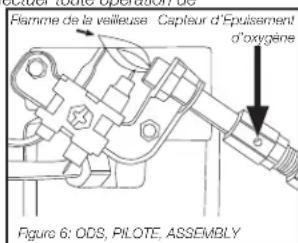 Flamme de la veilleuse Captsur d'Épuisement d'oxygène Figure 6: ODS, PIOTE, ASSEMBLY