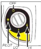 DEWALT DXH8BX - Fuel Gas Odor - 1