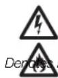 DEWALT DC981 - Definitions: Safety Guidelines - 4