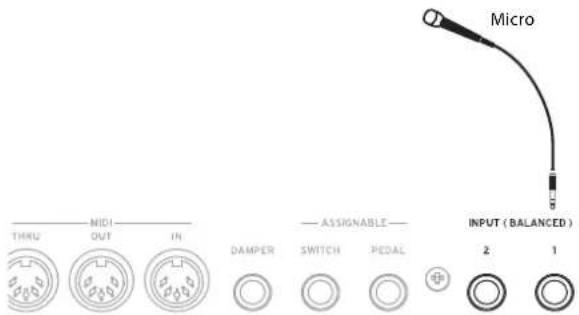 KORG Nautilus 88 AT - Connexion d'un microphone - 1