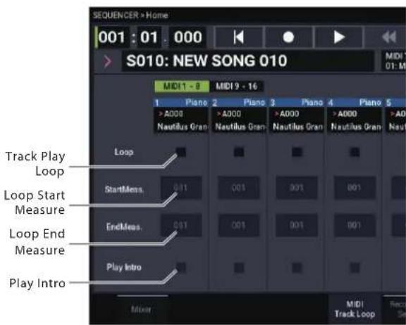 KORG Nautilus 88 AT - Lecture en boucle - 1